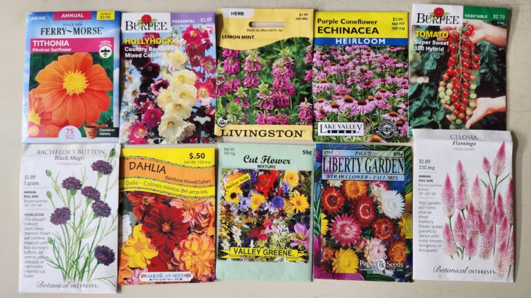 An assortment of seed packets