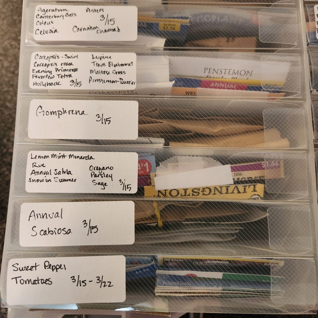Zoomed in on seeds labeled for March
