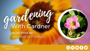 Gardening With Gardner: Pollinator Gardening
