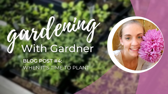 Gardening With Gardner: When It’s Time to Plant
