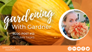 Gardening With Gardening:  Autumn Tasks