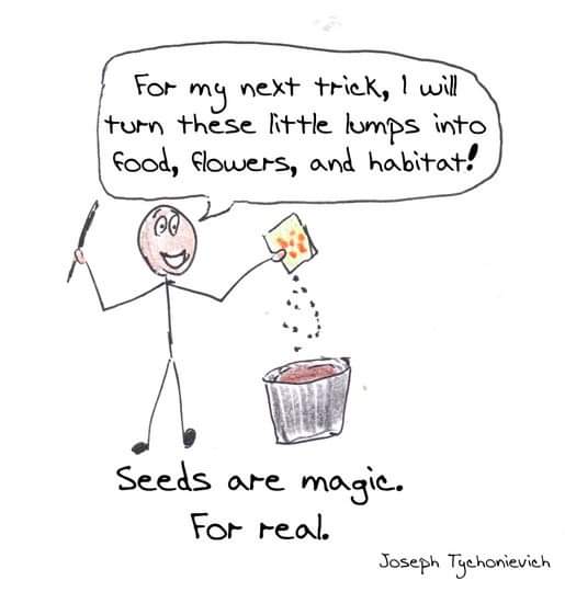 A cartoon with a character saying "For my next trick, I will turn these little lumps into food, flowers, and habitat!" and the caption "Seeds are magic. For real."