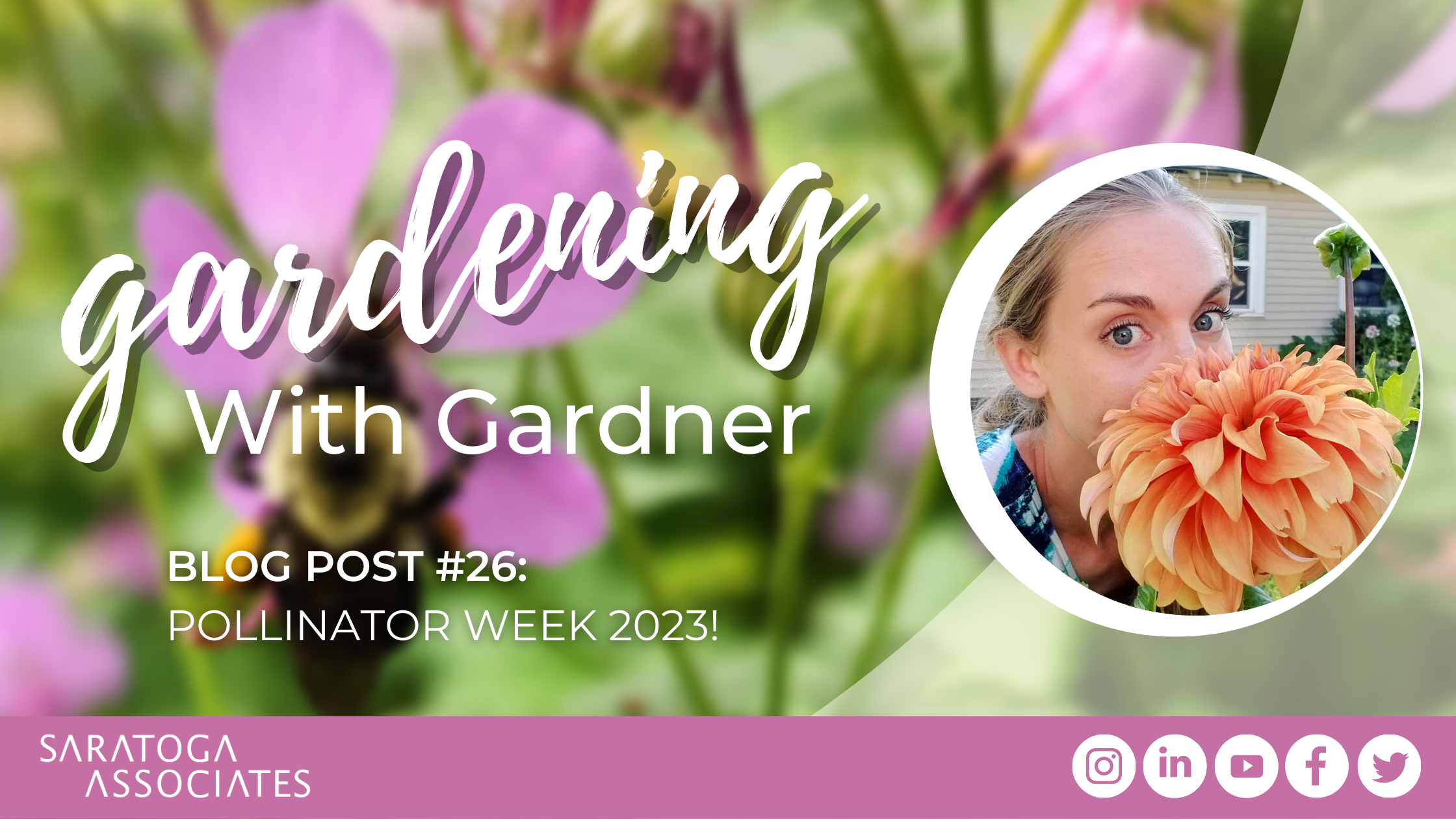 Gardening with Gardner: Pollinator Week 2023
