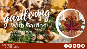 Gardening with Gardner: Free and Easy Fall Gardening