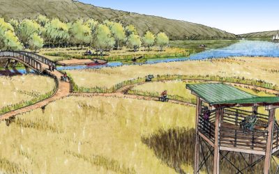 landscape-architect-keuka-ny-concept-design-saratoga-associates landscape-architect-keuka-ny-concept-design-saratoga-associates