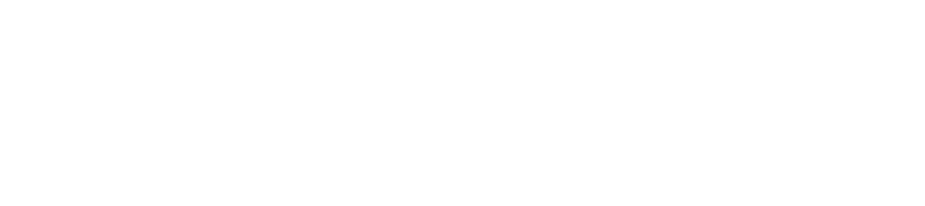 NYS Department of State Office of Planning, Development, and Community Infrastructure Logo